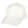 1085 WHT Blank